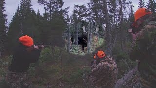 ONCE in a LIFETIME BULL MOOSE Maine Moose Hunting [upl. by Nyledaj]