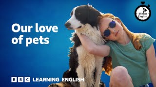 Our love of pets ⏲️ 6 Minute English [upl. by Parke770]