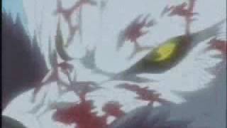 Wolfs Rain  Dream AMV  Darcia vs Kiba [upl. by Rombert]