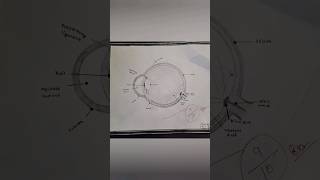 eye diagram easy drawing viralshorts [upl. by Waers]