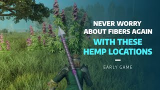 Power level your gathering and farm mass amounts of fibers Best New World Hemp farming early game [upl. by Irahs740]