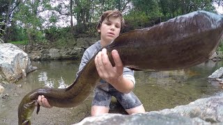 Catching The BIGGEST Freshwater EEL AMAZING [upl. by Hayott]