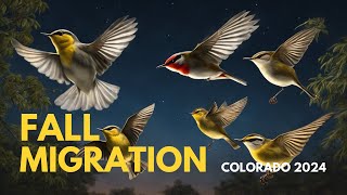 Colorados Fall Bird Migration  Return to Louviers  Chico Basin Ranch [upl. by Peterec]