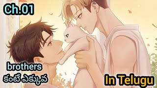 Brothers కంటే ఎక్కువ Ch1 BL Manhua Explain in Telugu Manga [upl. by Taffy]