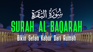 Surah Al Baqarah Merdu  Bikin Setan Kabur dari Rumah  Ahmad Al Shalabi [upl. by Knute]