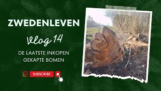 DE LAATSTE INKOPEN IN NEDERLAND  EMIGREREN NAAR ZWEDEN  VLOG 14 [upl. by Hauge]