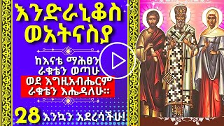 እንድራኒቆስ ወአትናሲያ  ማናቸው [upl. by Mcdade]