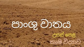 පාංශු වාතය ALAgriculturalScience [upl. by Litman]