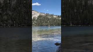 Beautiful Tioga Pass Road in Summer [upl. by Frost]