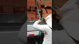 Girl Ties Double Truckers Hitch Like a Pro [upl. by Arette]