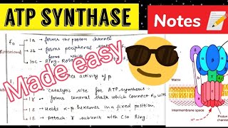 ATP Synthase Notes 📝Made easy😎 [upl. by Ardehs]