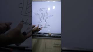 Convertidor de torque explicación [upl. by Mauro]