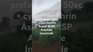 profenophos 50ec  cypermethrin Asataf 75 SP Acephate Insecticide dawai chntkav cotton [upl. by Shelba]