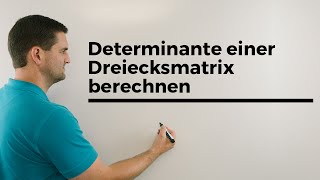 Determinante einer Dreiecksmatrix berechnen  Mathe by Daniel Jung [upl. by Hagerman]