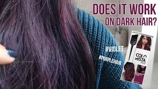 Loreal Colorista Paint Violet on Dark Hair  1 Week Update  TRY OR FRY [upl. by Jessabell]