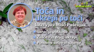 Toča in ukrepi po toči [upl. by Ibmat]