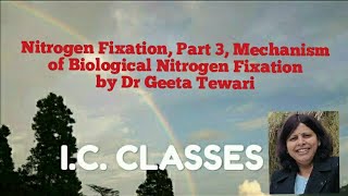 Bioinorganic Chemistry Part 7 Nitrogen fixation part 3 Mechanism of Nitrogen Fixation by Dr Geeta [upl. by Eirojam]