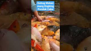 Gubug Makan Mang Engking Pondok Cabe [upl. by Cad]