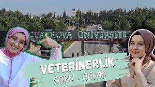 Çukurova Üniversitesi CEYHAN VETERİNER FAKÜLTESİ  SORU  CEVAP [upl. by Pieter]