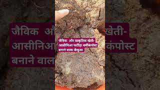 Organic and Natural Farming Eisenia foetida verm for vermicomposting [upl. by Erbe358]