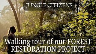 Join us on our LAST WALK through our TROPICAL FOREST restoration sitewith narration tips amp tricks [upl. by Fauch]