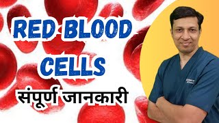 Lecture on RBC in hindiRed blood cell physiology in hindi [upl. by Scotney]