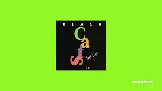 Black Cats  Jooneh Khodet  بلک کتس  جون خودت [upl. by Allard]