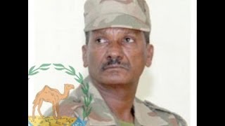 Eritrea Honors Major General Gebregziabher Andemariam Wuchu  EriTV News [upl. by Adnamma]