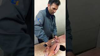 How to gut and fillet a trout fishcutting [upl. by Attiuqram724]