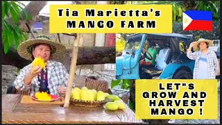 Tia Mariettas MANGO FARM in Bulacan [upl. by Wauters437]