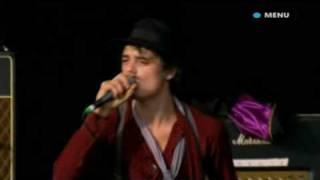 Babyshambles Perform Sedative Live At Glastonbury [upl. by Ashton]