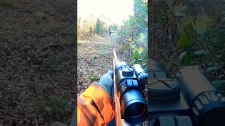 chasse sanglier en corse wildboar corsica aimpoint 300win [upl. by Mutz]