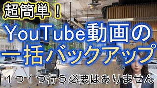 YouTube動画の一括バックアップ方法を簡単に解説 [upl. by Kamilah]