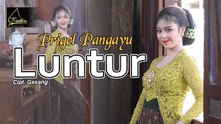 Prigel Pangayu  Luntur Official Music Video [upl. by Orihakat455]