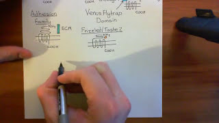 Cholera Toxin and Pertussis Toxin Part 2 [upl. by Ahsimit]