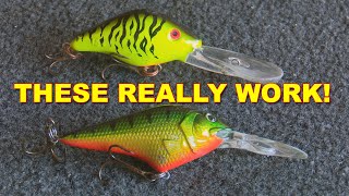 Crankbaits For Beginners  How To  Bass Fishing [upl. by Farleigh]