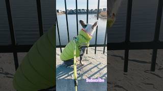 Anfisa watching Canadian geese [upl. by Aro]