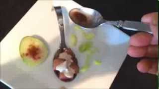 Tuna Tartar in a Spoon with Aioli Sauce [upl. by Ilram]