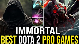 Immortal Offlane Broodmother  Chronicles of Best Dota 2 Pro Gameplays [upl. by Marylynne]