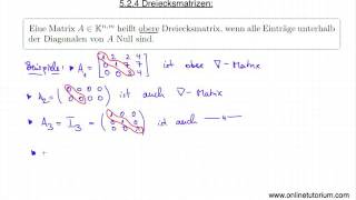 Dreiecksmatrizen  Mathematik Video Übung [upl. by Vyse]