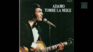 Перевод Salvatore Adamo  Tombe la neige 1963 [upl. by Gilbertine686]