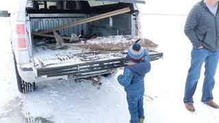 GIANT Sturgeon Speared on LAKE WINNEBAGO [upl. by Ahsoem]