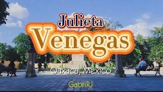 Julieta Venegas  Lento ❤️🌺  Concierto completo 2024  HD  Oaxaca [upl. by Euqilegna]