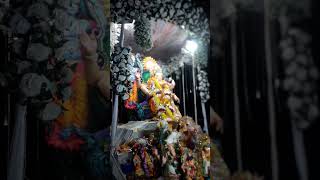 ganeshvisarjan 🙏🚩MP Jabalpur Patanshahar Ganesh ji Visarjan🚩🙏 Mumbai wale Ganesh ji [upl. by Rahmann]