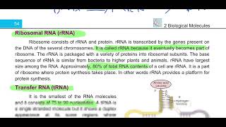 Ribonucleic Acid RNA 11th biology education biology [upl. by Niwroc]