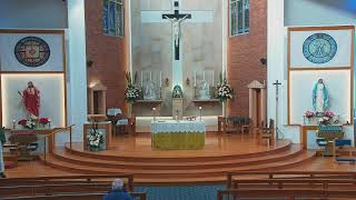 Catholic Mass for 11th Week in Ordinary Time  20 June 2024  8am [upl. by Sanborn]