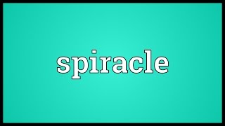 Spiracle Meaning [upl. by Nole558]