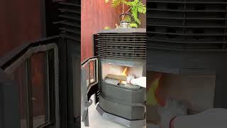 Pellet stove European style wood pellet heating stove [upl. by Enninaej]