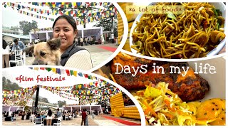 Days in my life with family  a lot food tibetan mukbang food fundayout [upl. by Aihsein]