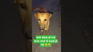 Sheru 🐕dog ki ladaiyoutubeshortsshortsviralfeedshortsminivlogviralvideo [upl. by Hembree]